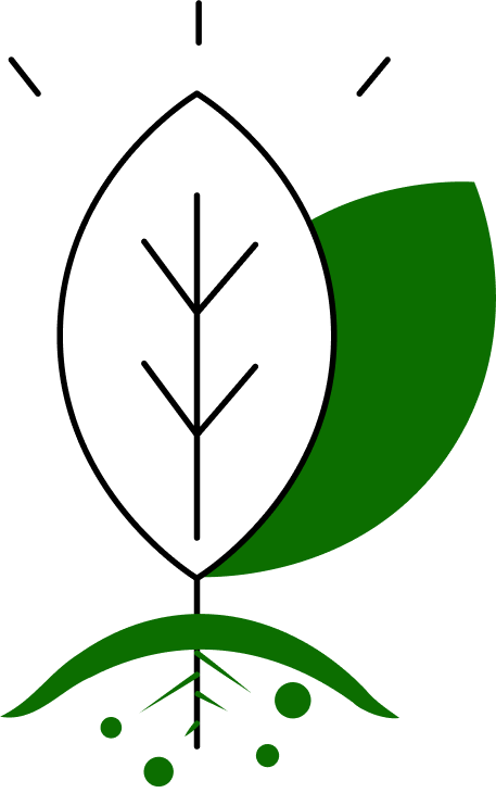 Vegan