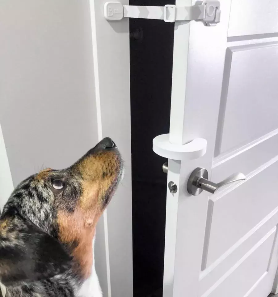 door buddy strap with stopper