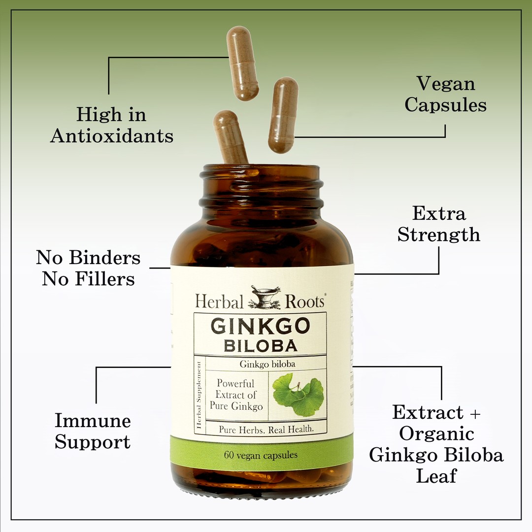 Bottle of Herbal Roots Ginkgo Biloba with three pills spilling out of the top of the bottle. There are several lines pointing to the bottle and the capsules. The lines say High in antioxidants, Vegan Capsules, Extra Strength, No Binders or fillers, Immune Support and Extract plus organic ginkgo biloba leaf.
