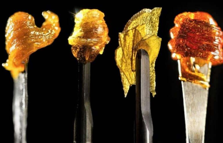 Different Types of Concentrates