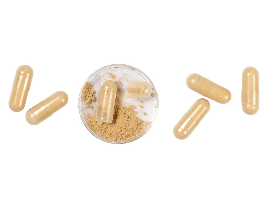 6 supplement capsules, one open in a petri dish