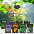 Drought tolerant collection - 8 heirloom seed packets