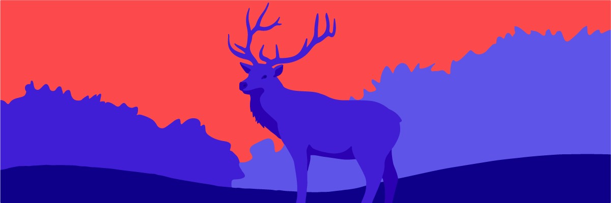 A crepuscular elk with large antlers.