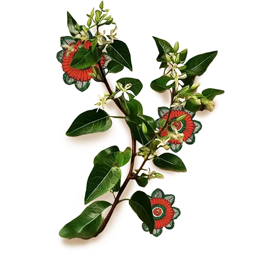 Black creeper plant stem, with green color leaves and white color flowers, surrounded by artwork of small flowers