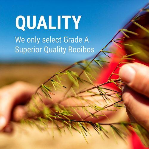 Rooibos Rocks Organic caffeine free natural South African Rooibos Tea