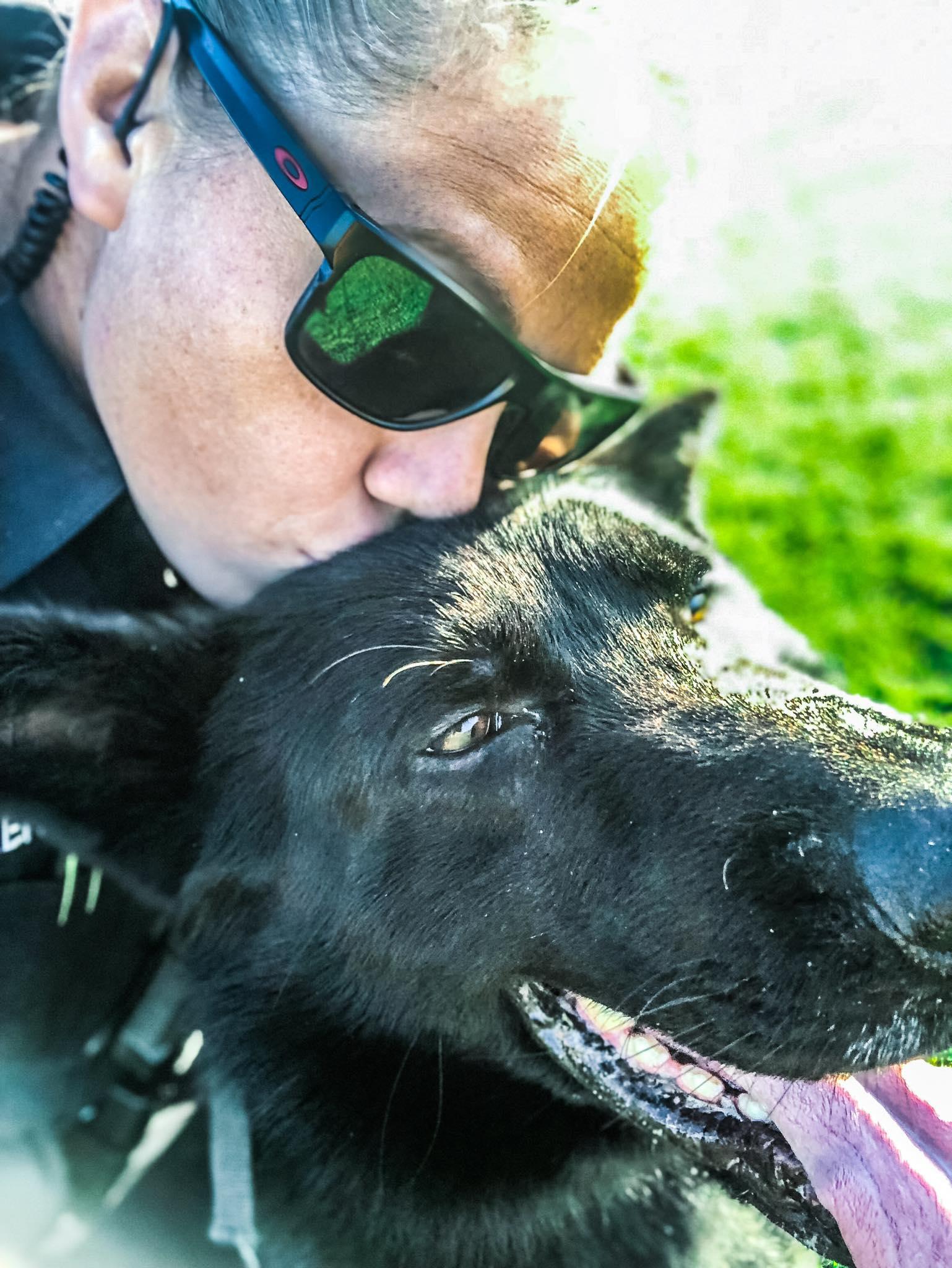 k9 django and handler