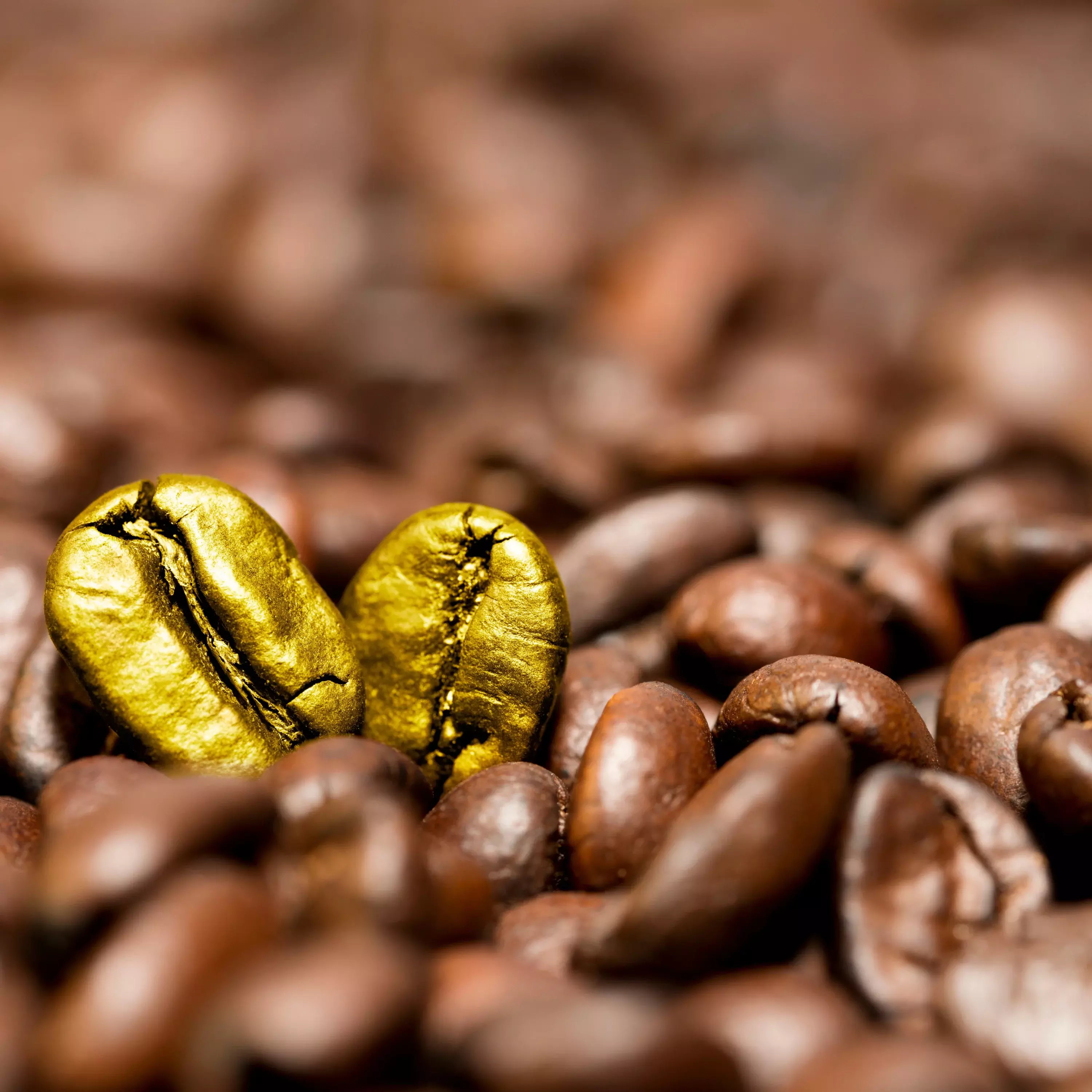 Close-up of roasted coffee beans with a golden specialty-grade bean symbolizing premium Lone Wolf Coffee quality.