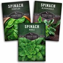 3 packets of heirloom spinach seeds