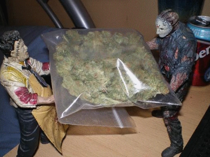Leatherface and Jason Voorhees action figures from the Texas Chainsaw Massacre and Friday the 13th horror films sitting on a desk and holding a large bag of marijuana. This symbolizes the best strains for horror movie marathons and iconic stoner moments.