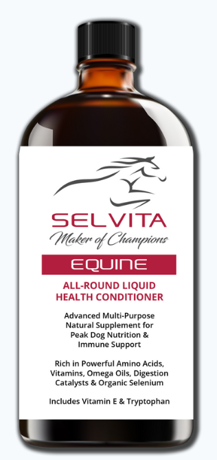 Selvita Equine Product Image 100ml