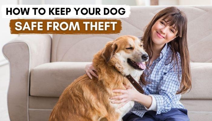 How To Keep Your Dog Safe From Theft