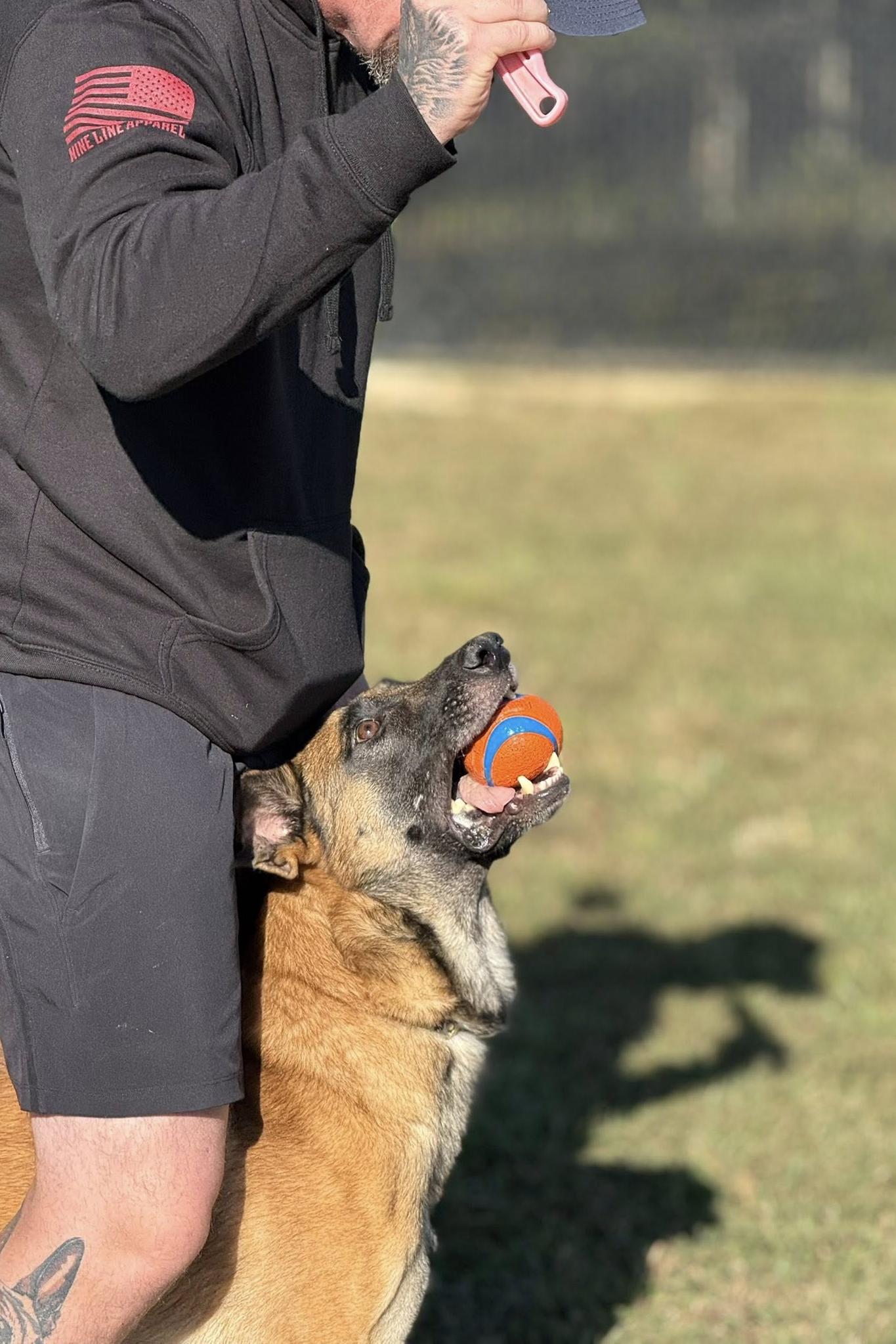k9 guapo and his ball