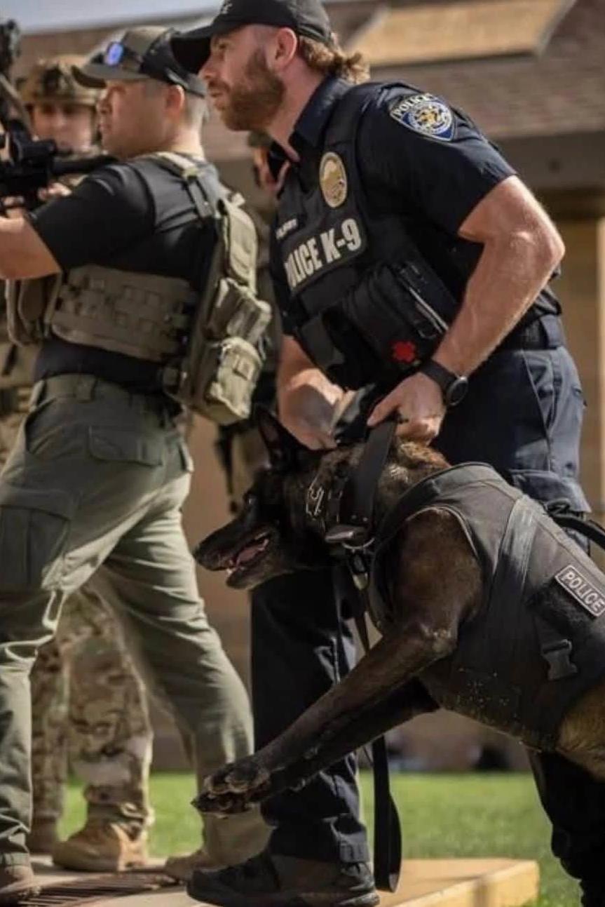 k9 breston