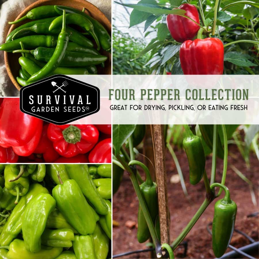 4 Pepper Seed Collection - 2 hot and 2 sweet peppers
