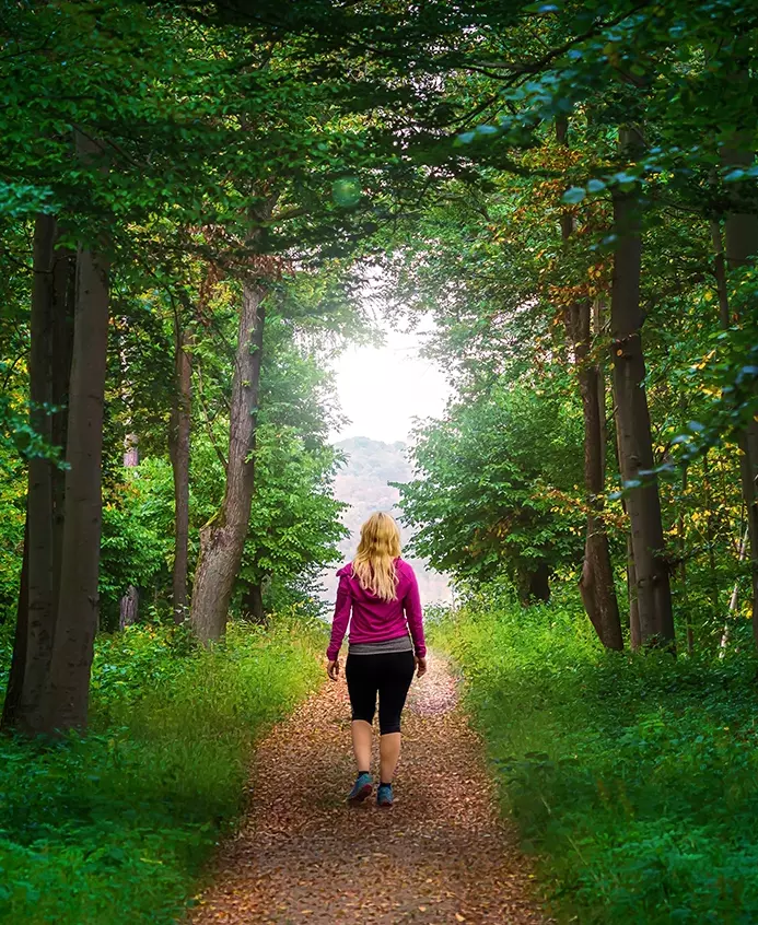 There’s One Specific Group That Stands To Gain Immense Benefits From Forest Bathing... And that’s middle-aged women. 2