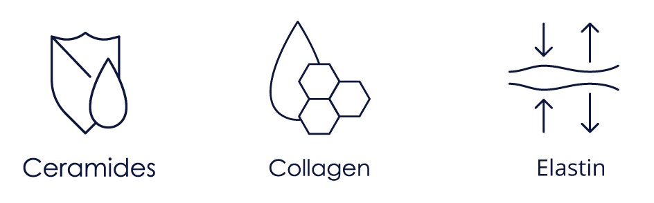 Icons of Ceramides, Collagen, elastin