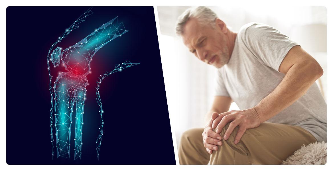 Autoimmune Institute gut health healthy eating