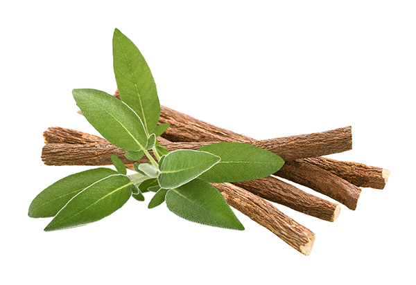 Glycyrrhiza Glabra (Licorice) Root Extract