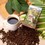 best tasting low acid coffee organic rainforest alliance bird friendly best seller selling
