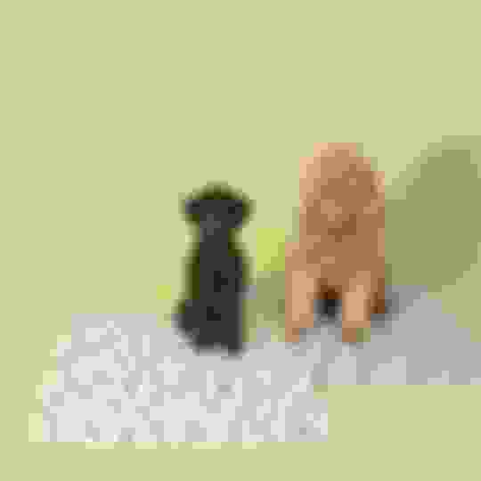 How to Wash Your Reusable Pee Pad Potty Buddy™