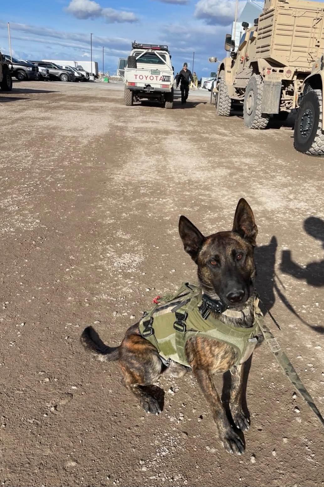 mpc bak sitting in a parking lot with military vehicles