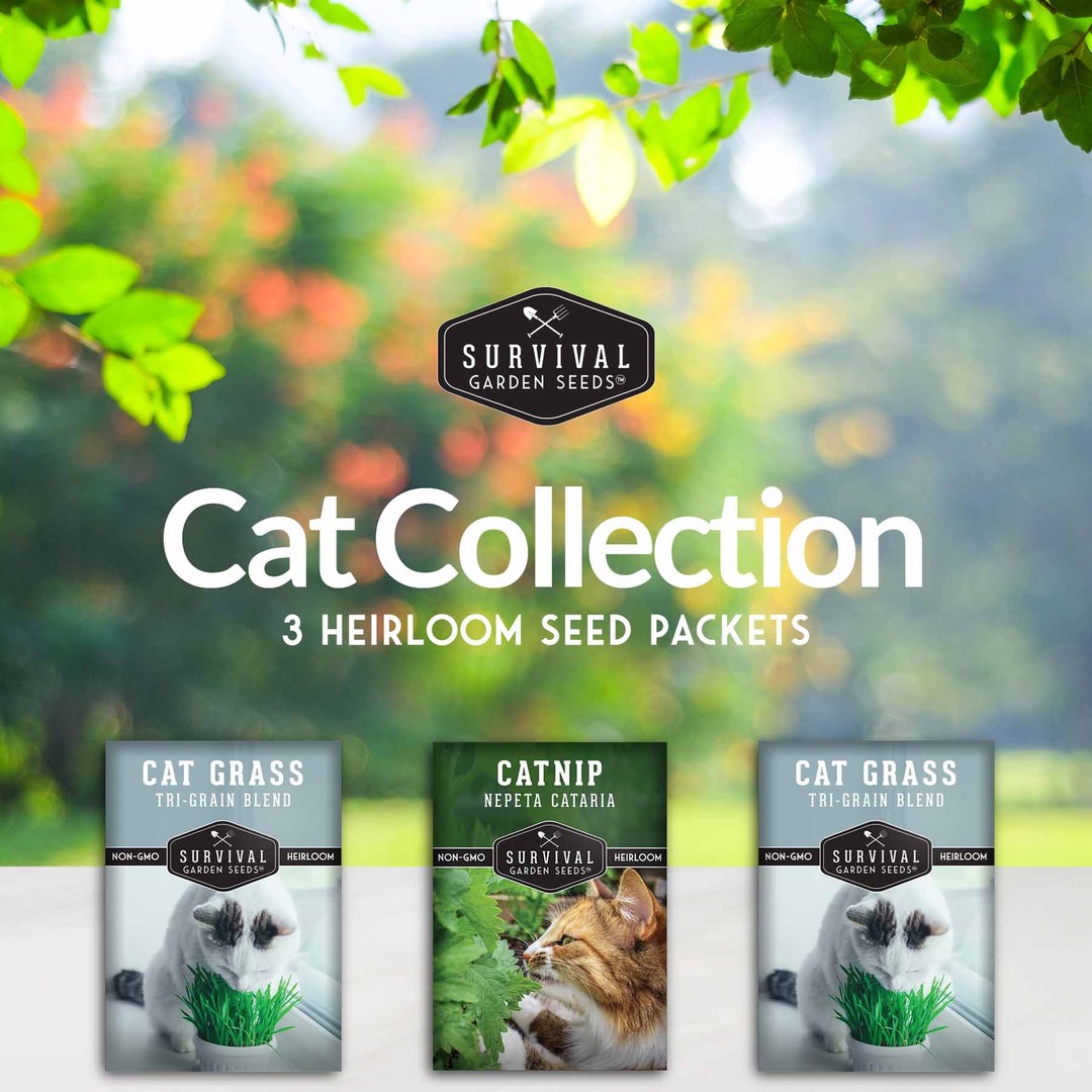 Cat Collection - Catnip and Cat Grass Seed Packets