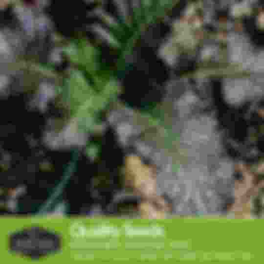 quality non-hybrid heirloom seeds