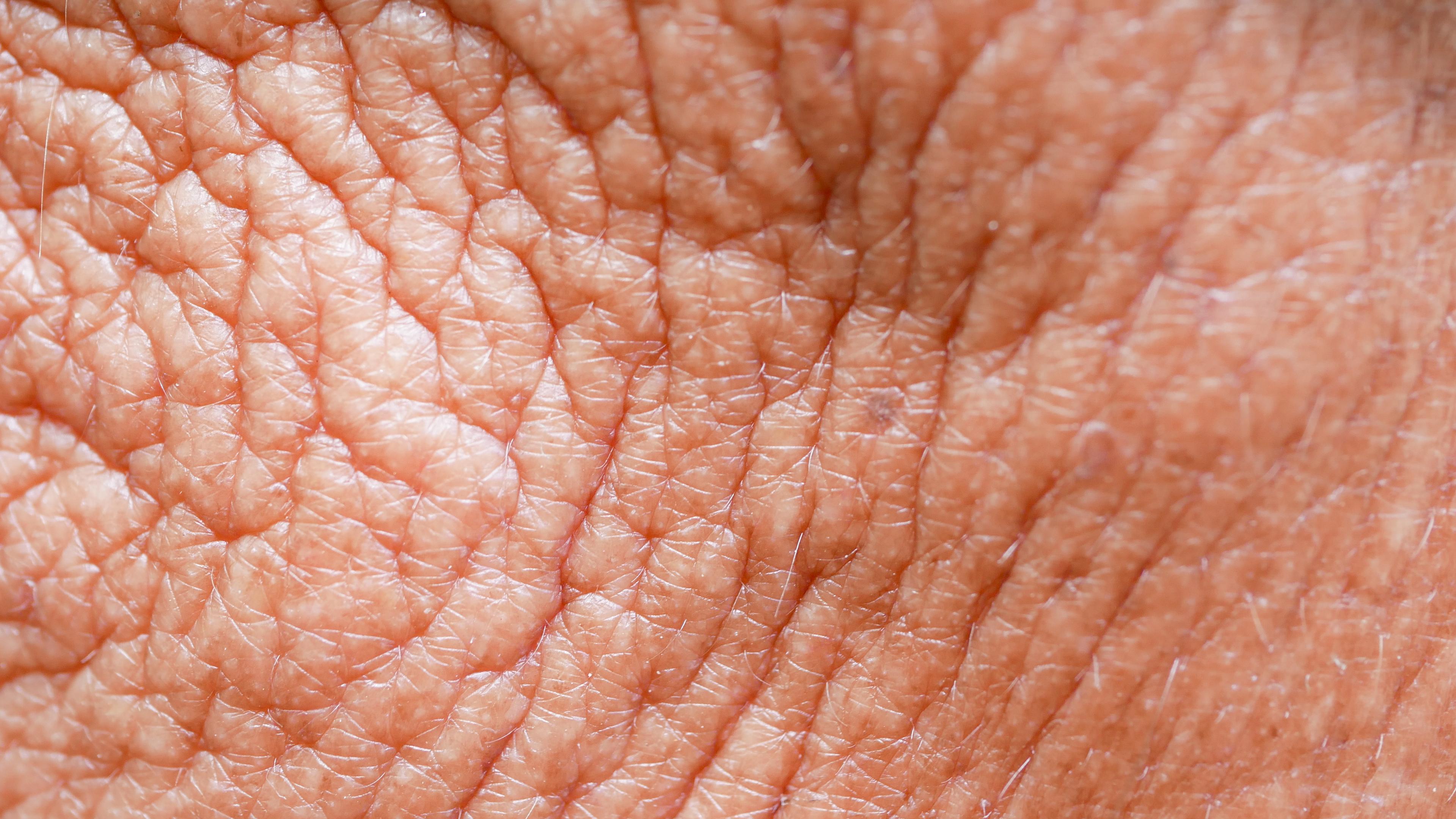 1. Created Specifically for the Needs of Aging Skin