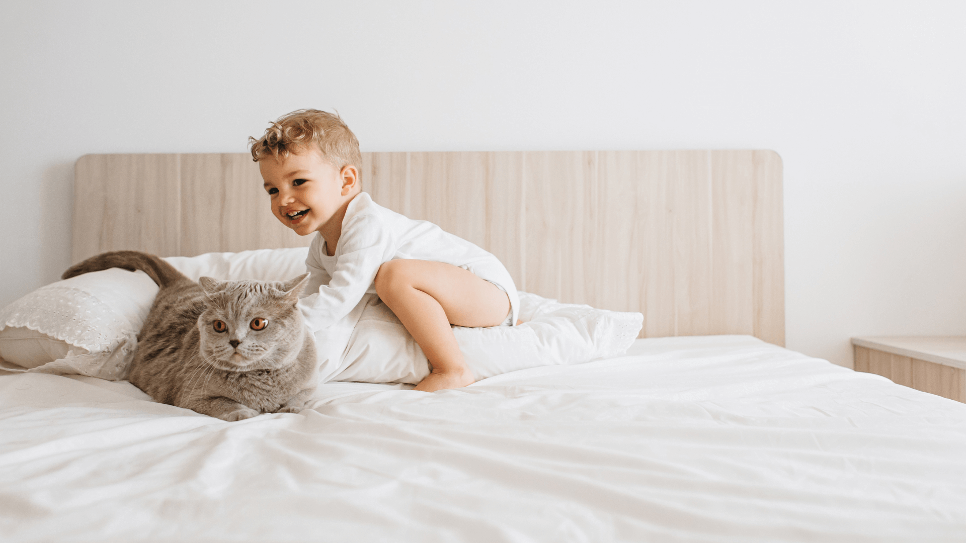 how to introduce pets and babies - blog image