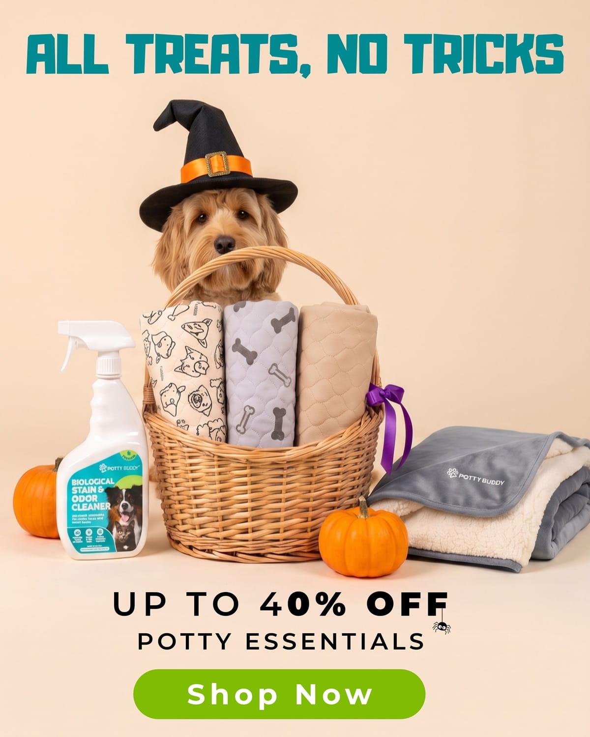 A banner showing a dog in a witch's hat and promotional text for Potty Buddy's Halloween Sale with up to 40% Off