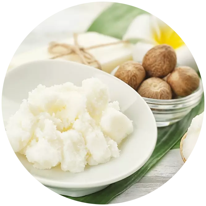 Shea Butter