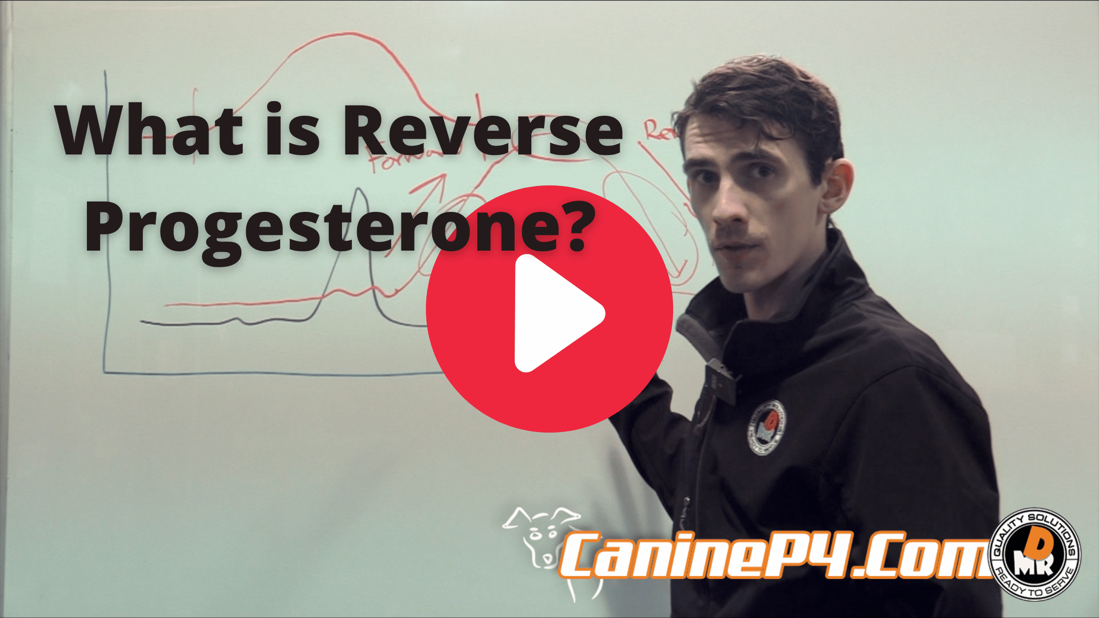 reverse-progesterone
