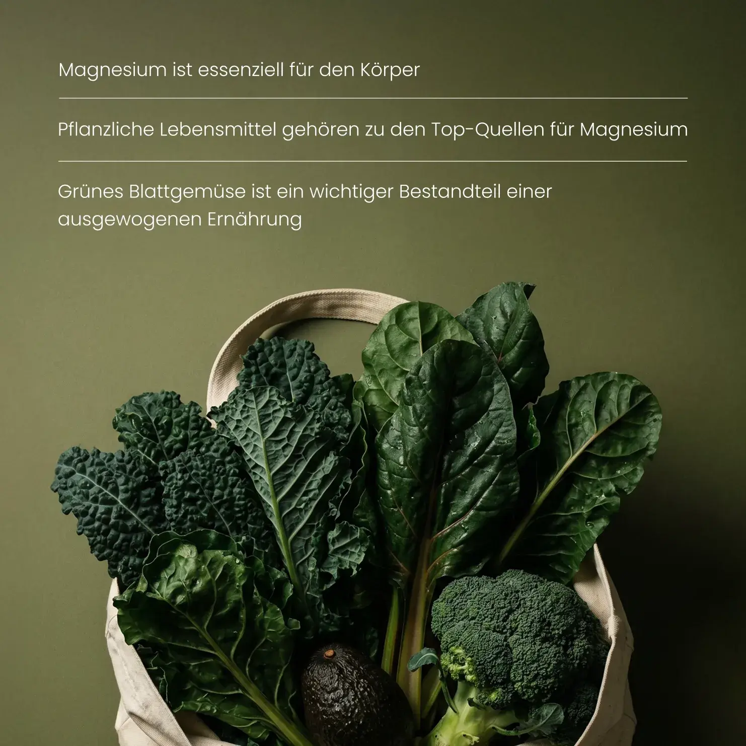 Eine Stofftasche gefüllt mit magnesiumreichen Lebensmitteln wie Grünkohl, Mangold, Brokkoli und Avocado zur Ergänzung einer ausgewogenen Ernährung.