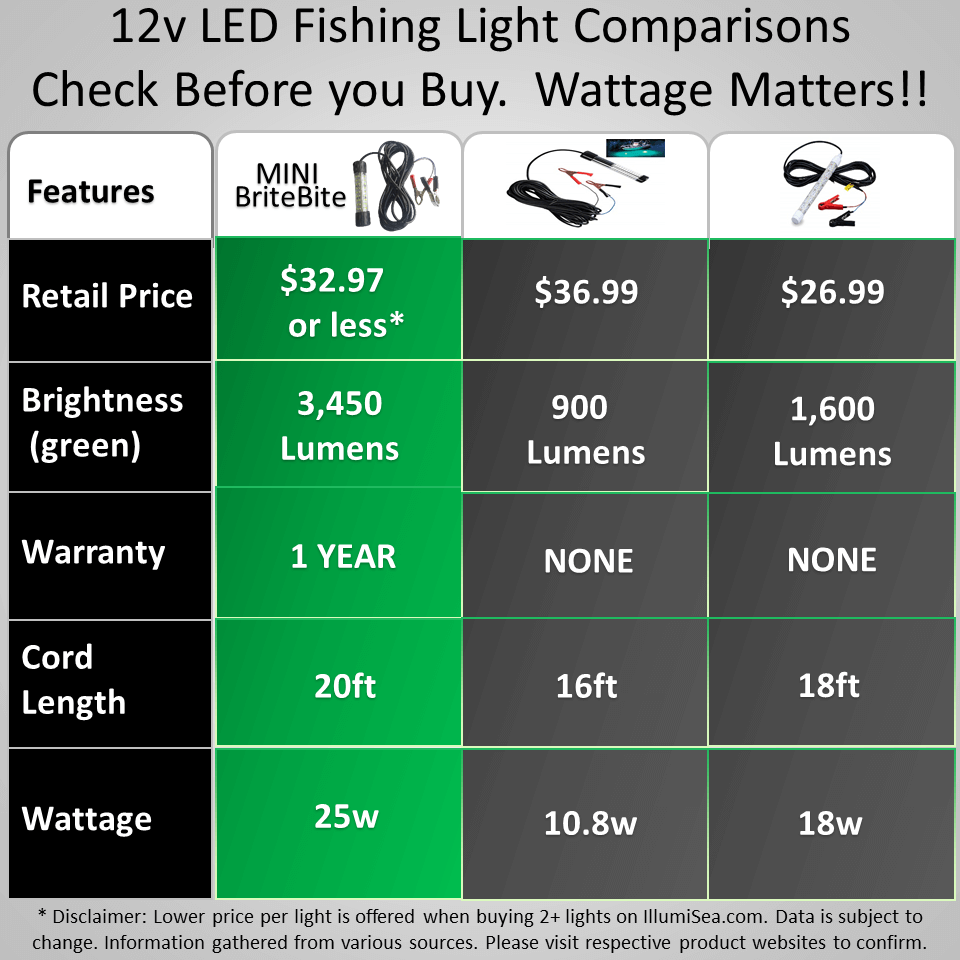 Underwater LED Fishing Light - Bright Fishing Lights - Attracts LED Fishing  - Attracting Light2PCs