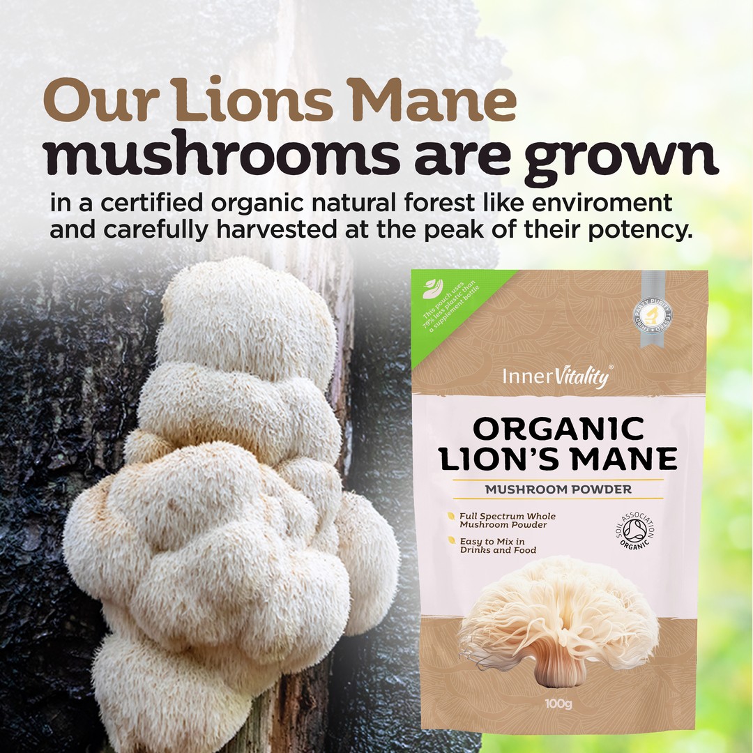 Organic lions mane supplement