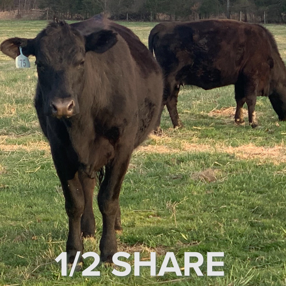 Half of Beef Deposit