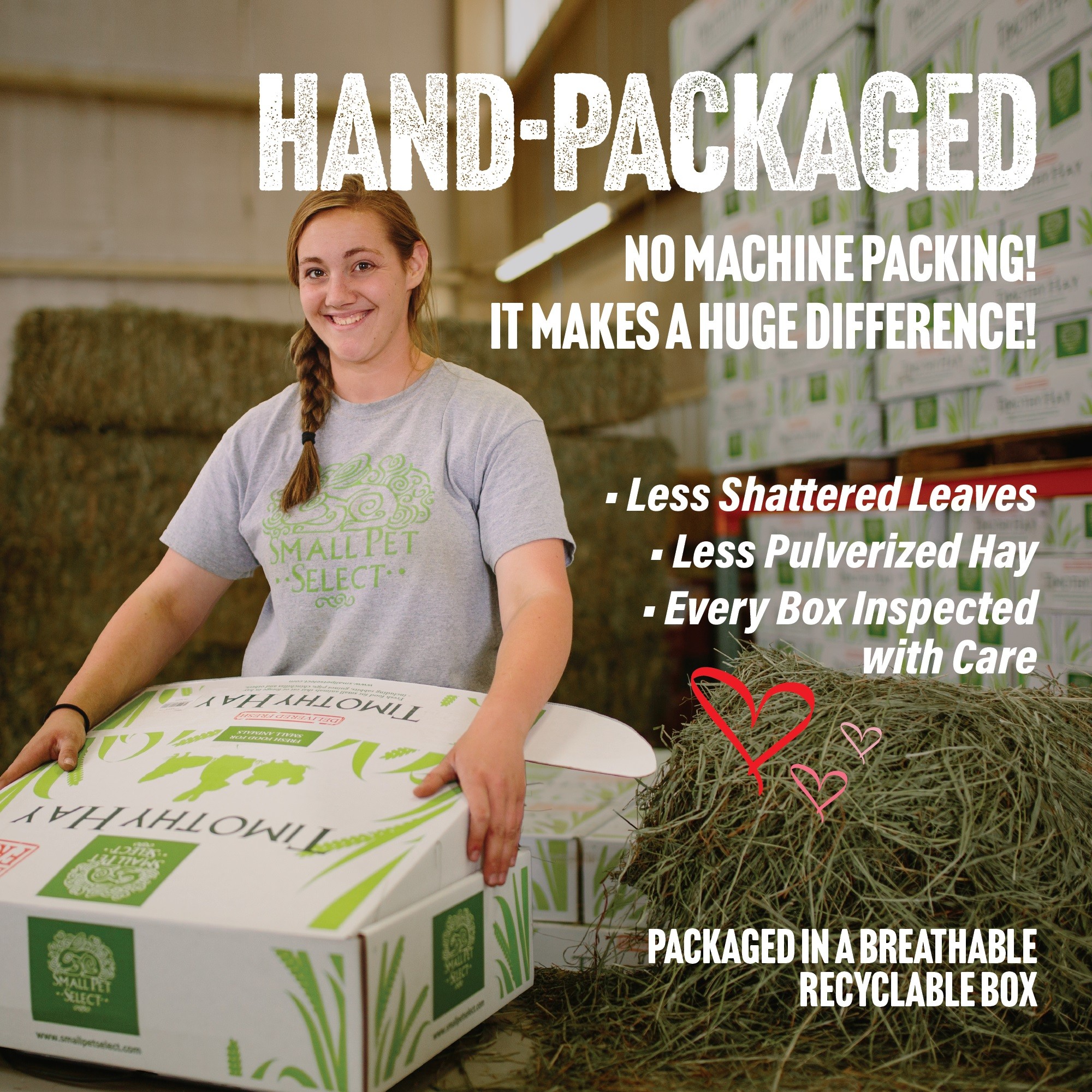 Small Pet Select hand packages all timothy hay