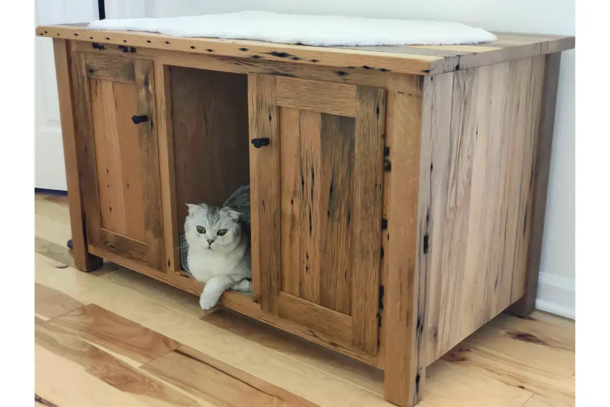 Custom-designed Cat Cabinet