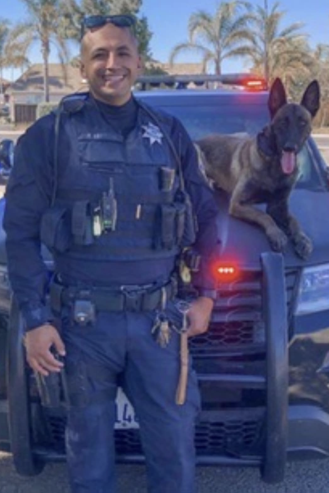 k9 kane