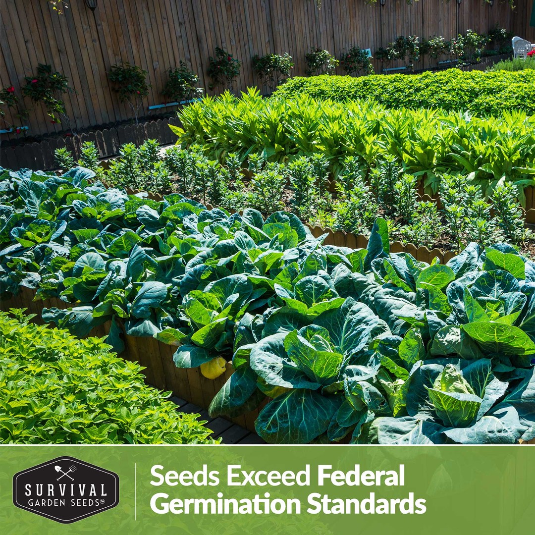 seeds exceed federal germination standards