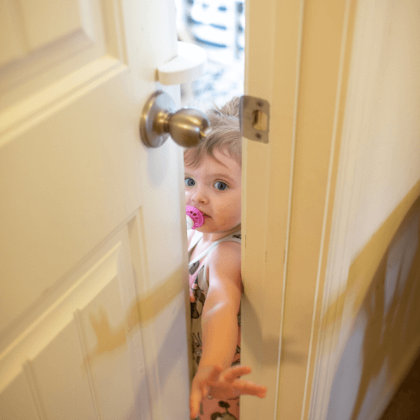 Baby Proofing Litter Box - The Door Buddy