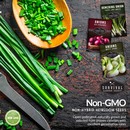 Non-gmo non-hybrid heirloom onion seeds