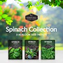 Spinach Seed Collection - 3 heirloom seed packets