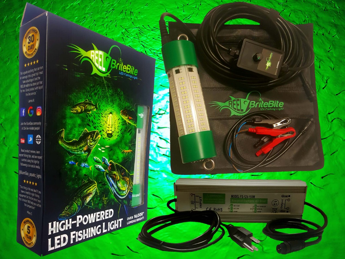 Wholesale water activated fishing light for A Different Fishing