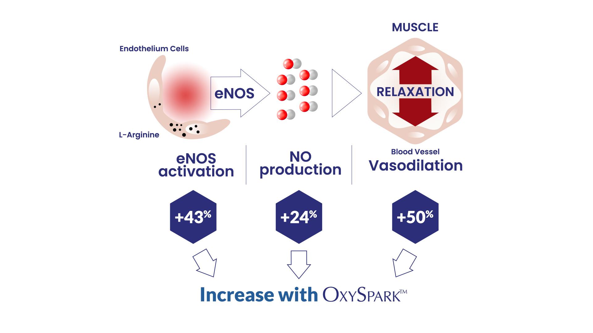 How OxySpark Works