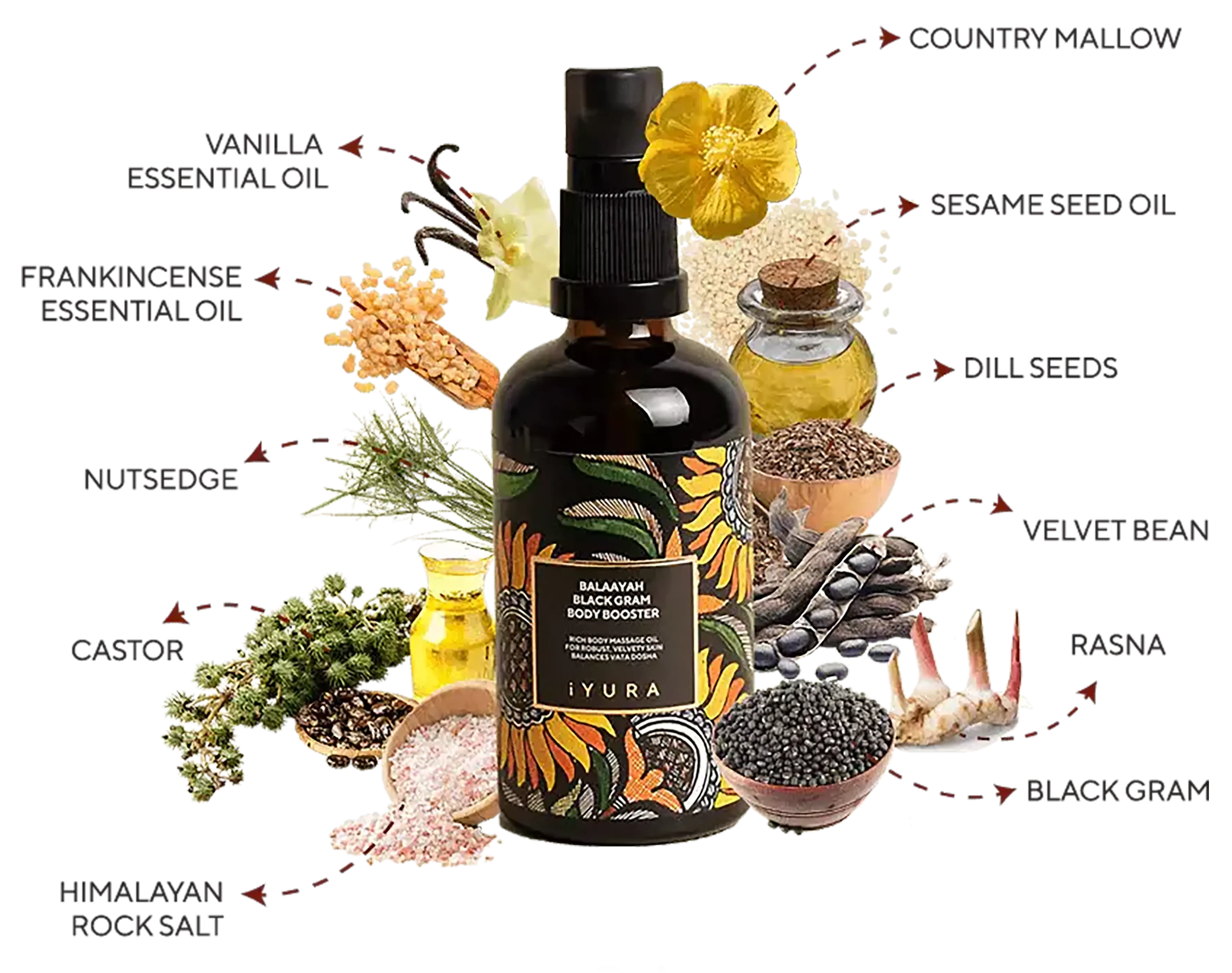 A composition of a bottle of balaayah and it's ingredients with their names