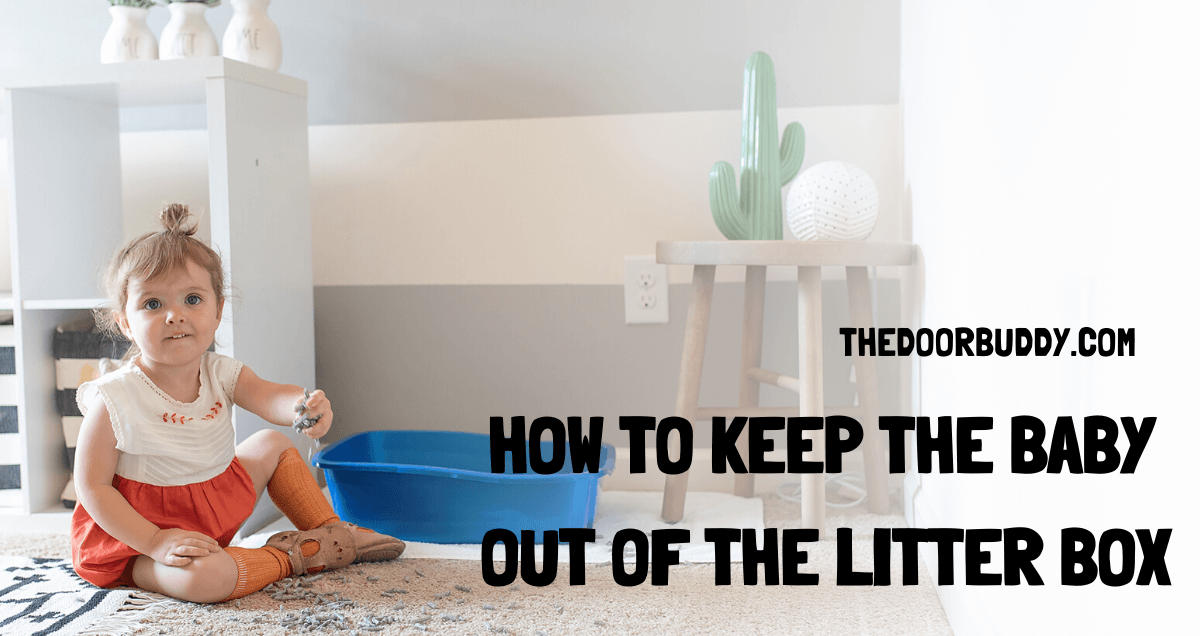 How To Keep Baby Out Of The Litter Box And Cat Food Door Buddy