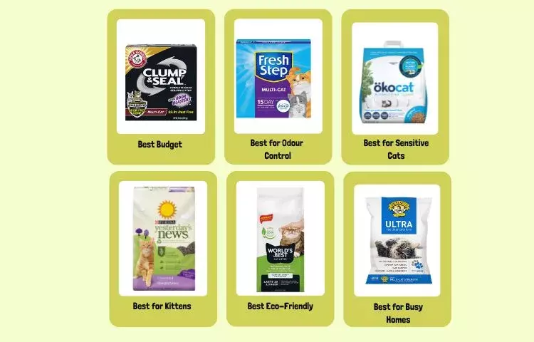 top cat litter choices