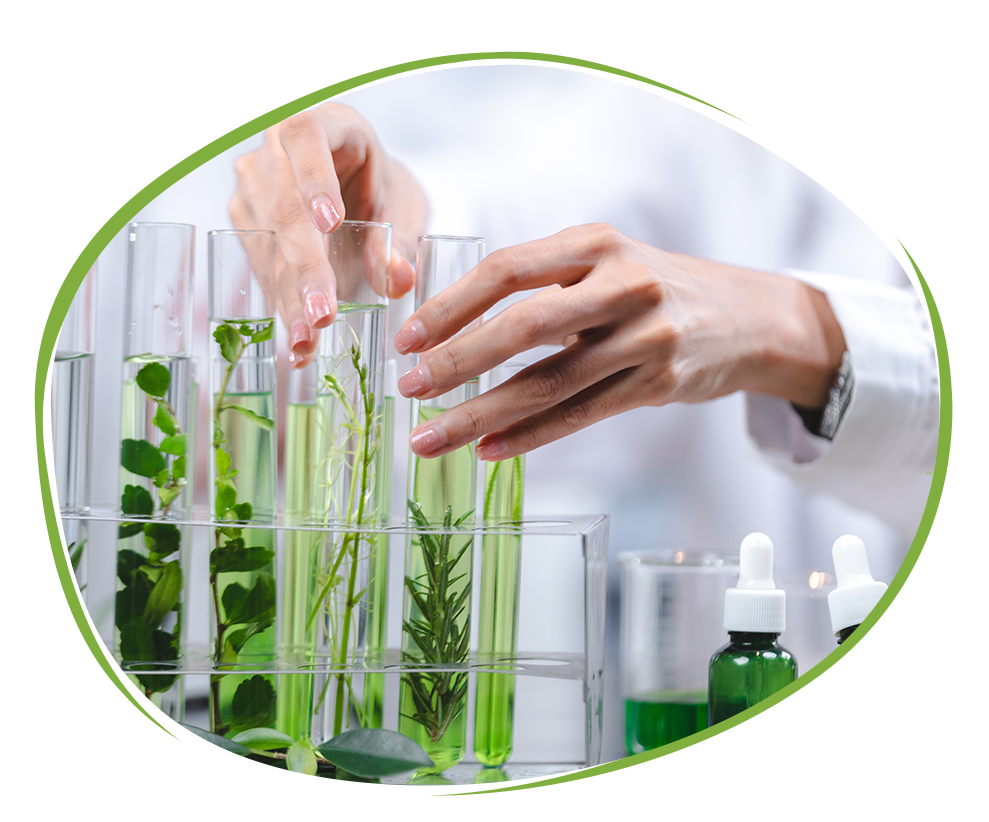 A person in a lab working with test tubes and herbs