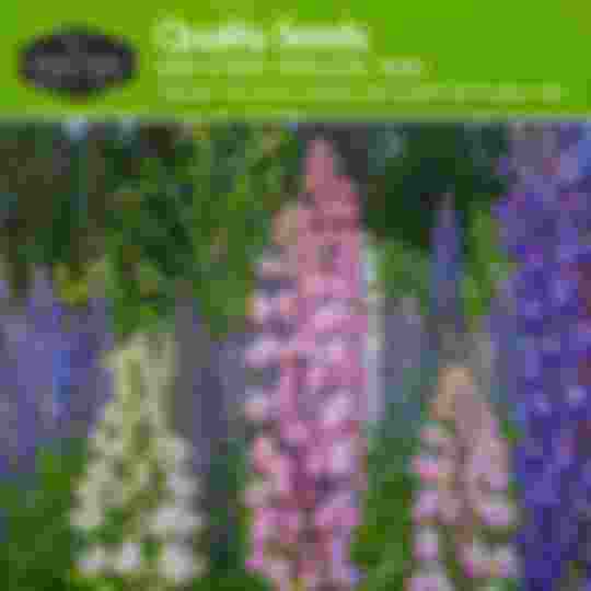 Quality non-hybrid heirloom flower seeds